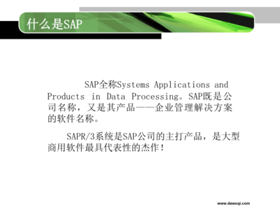 sap-erp二次開(kāi)發(fā)語(yǔ)言abap簡(jiǎn)介